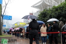 鲍师傅糕点有几家