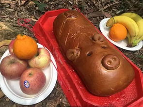 嫌乳猪太贵,儿媳买39元金猪面包祭祖,遭婆婆怒斥 丢架