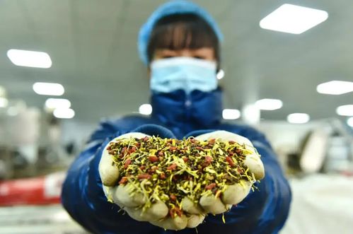 花草茶5年100亿, 亳州模式 成功或将为湖北茶发展带来借鉴
